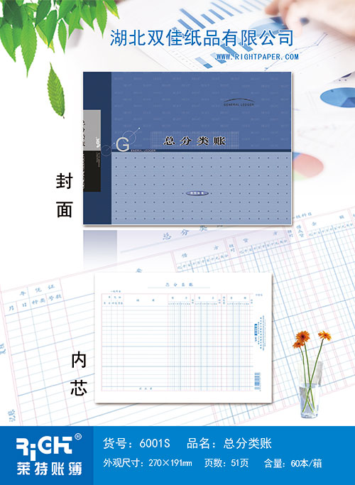 6001S  總分類賬